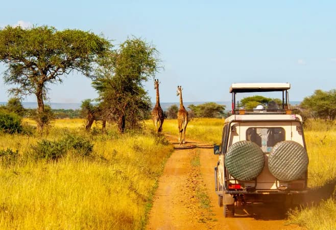 Aberdare National Park Safari