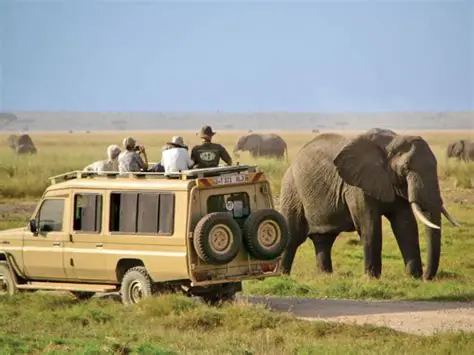 Amboseli National Park Safari