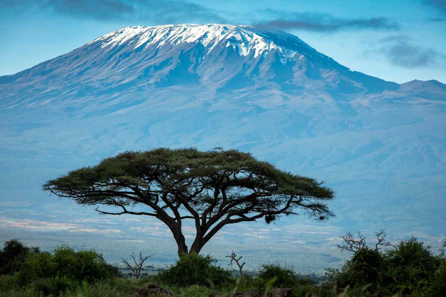 Mount Kilimanjaro Views