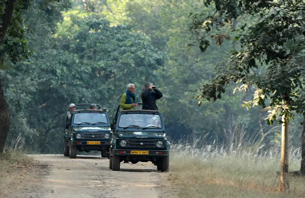 Jeep and Elephant Safari