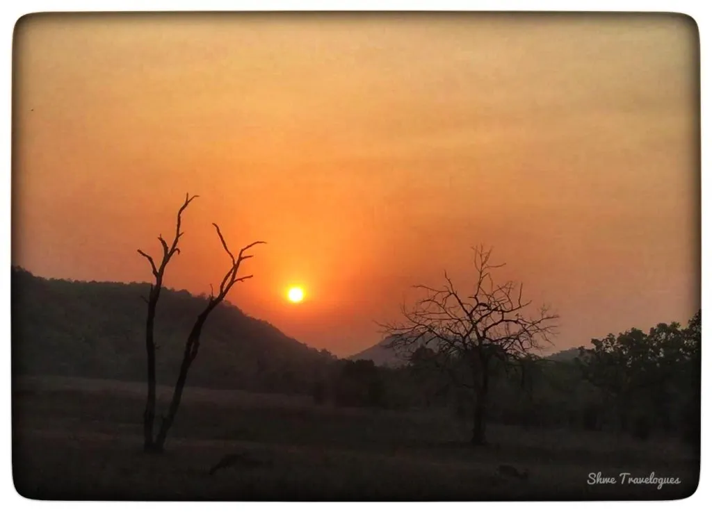 Bandhavgarh National Park Safari visual 2