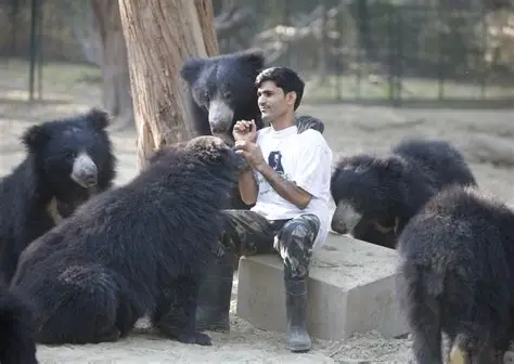 Bear Sanctuary