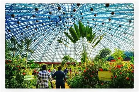 Butterfly Park