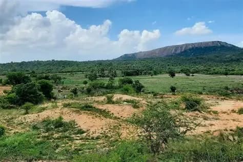 Bannerghatta National Park Safari visual 1