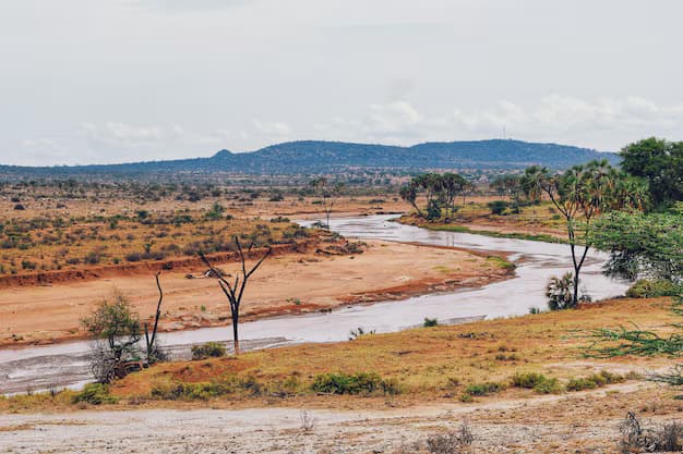 Ewaso Ny'iro River