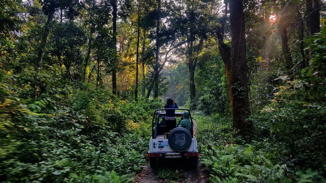 Buxa Tiger Reserve Safari visual 1