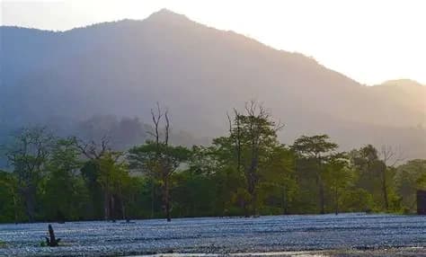 Jayanti River Sighting
