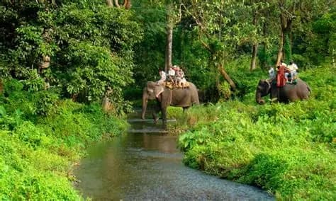 Chilapata Forest Safari