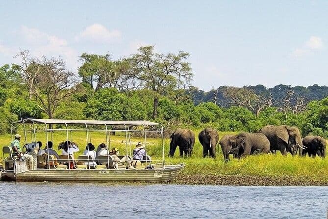 Chobe National Park Safari