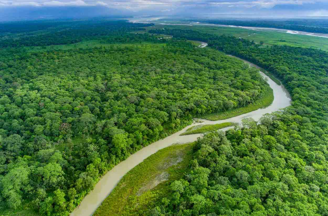 Jaldapara Jungle Safari