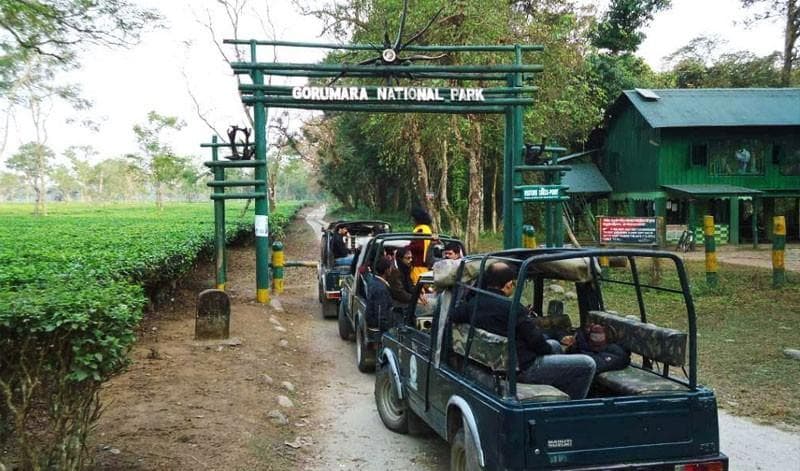 Jeep Safari