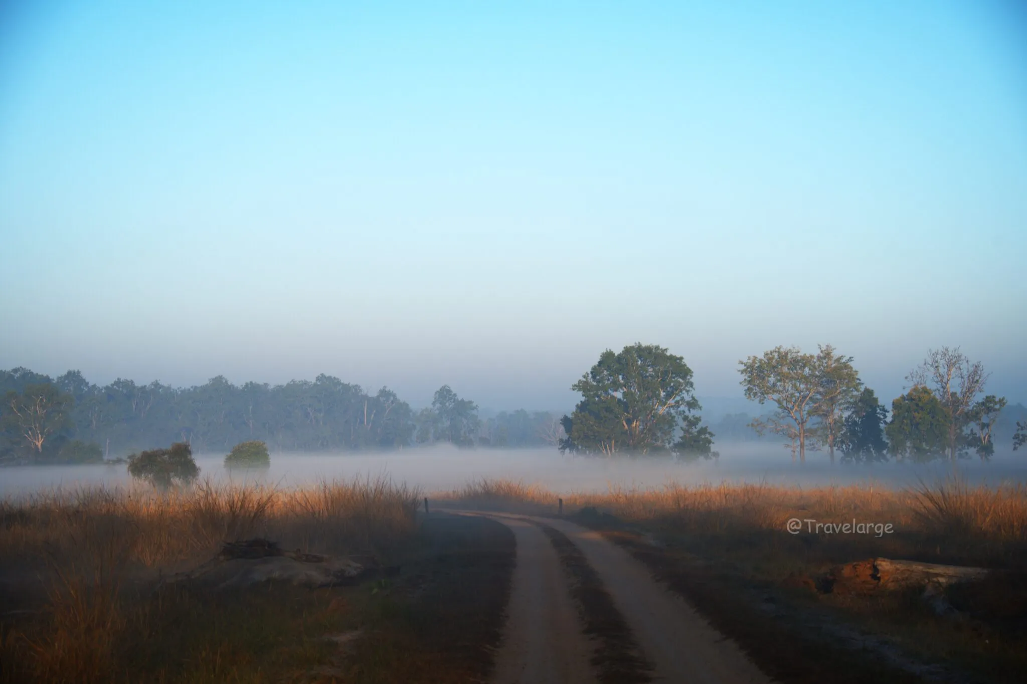Kanha Meadows