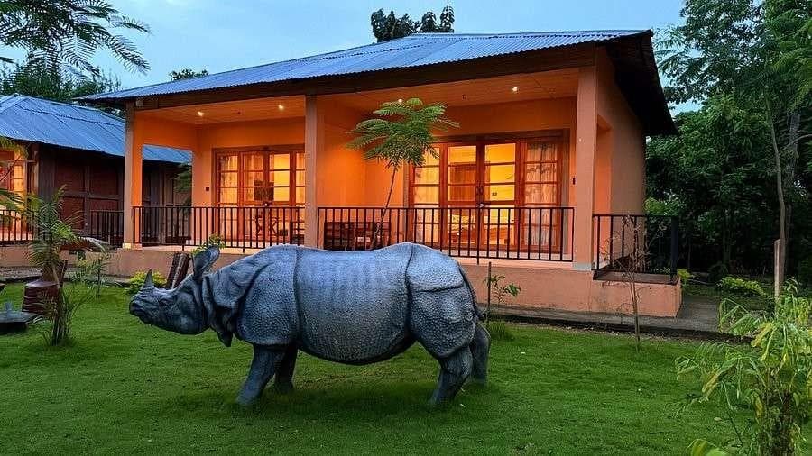 Kaziranga Jungle Safari visual 2
