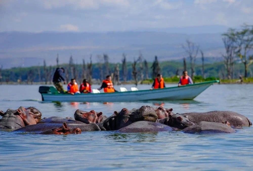 Lake Naivasha Safari