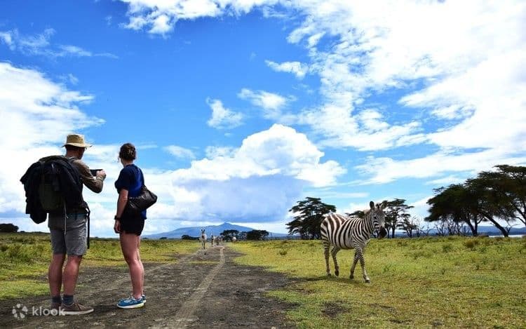 Crescent Island Walking Safari