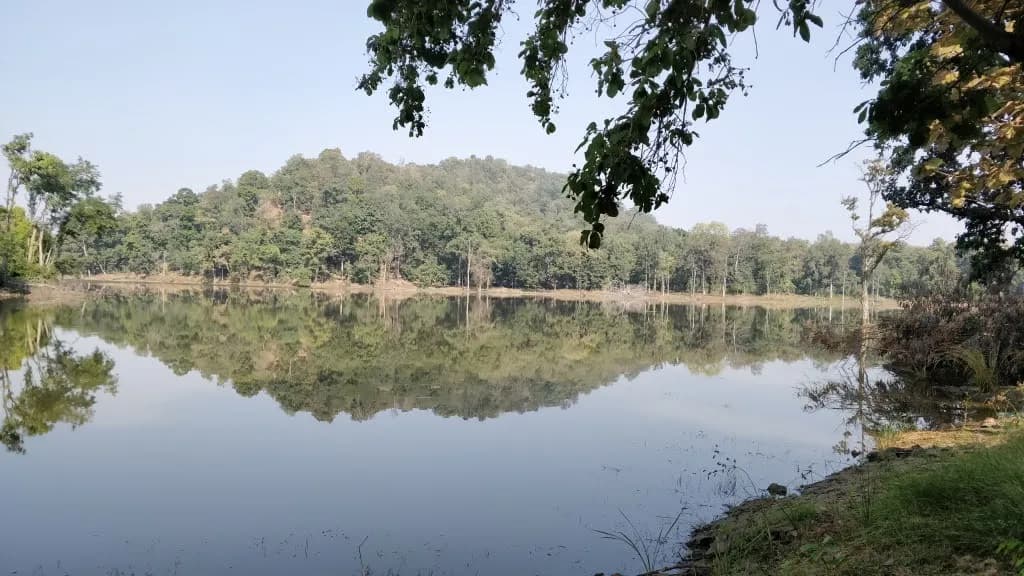Nagzira Lake Views