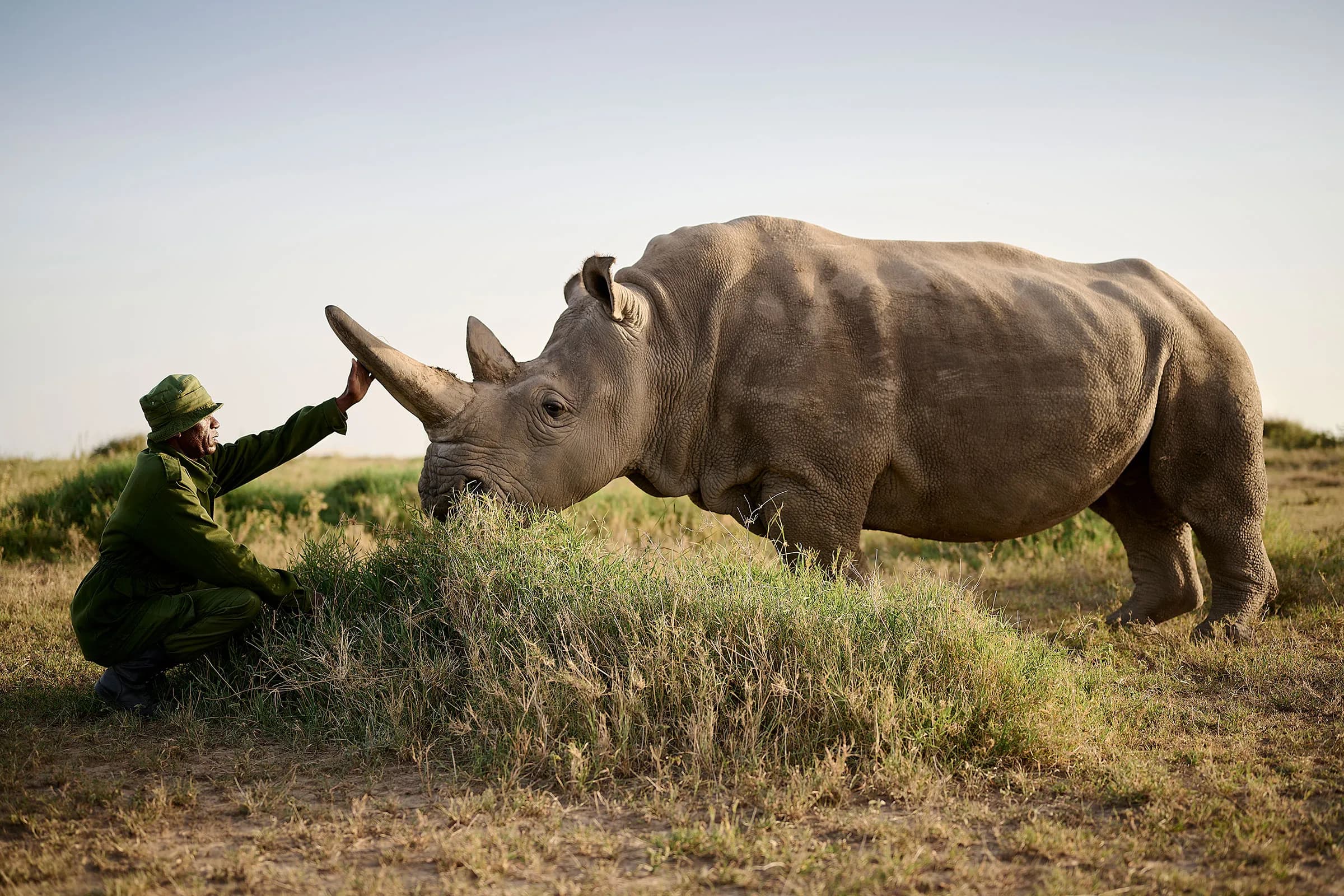 Ol Pejeta Conservancy Safari