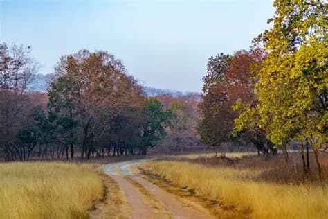 Panna Tiger Reserve Safari visual 1