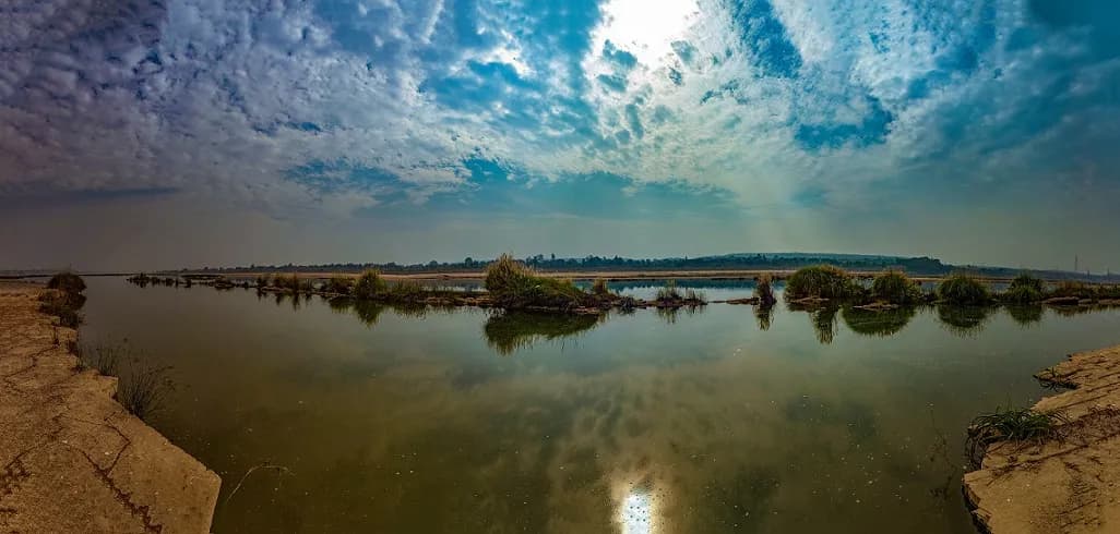 Sanjay Dubri National Park Safari