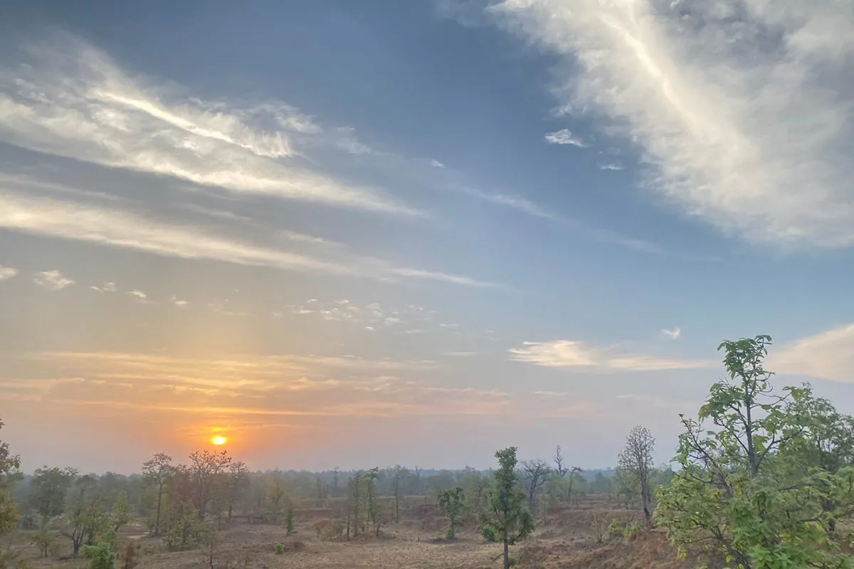 Sanjay Dubri National Park Safari visual 2