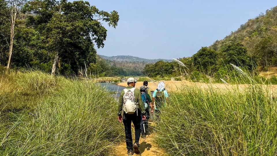 Satpura Tiger Reserve Safari