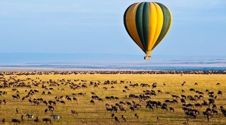 Hot Air Balloon Safari