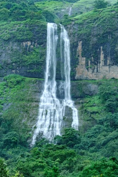 Simlipal National Park Safari