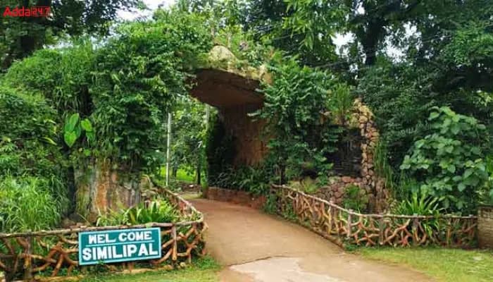 Simlipal National Park Safari