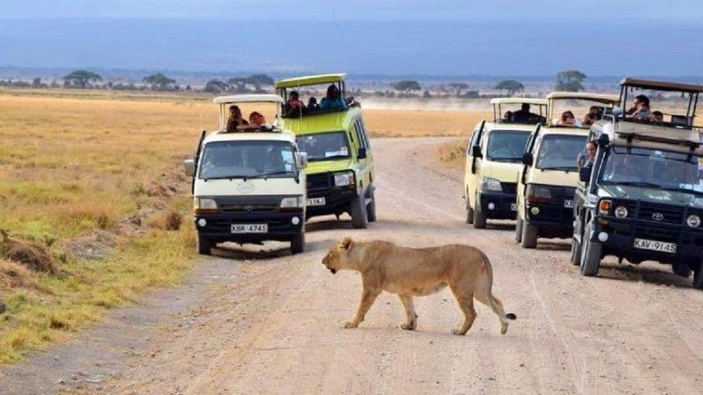 Tsavo East & West Safari