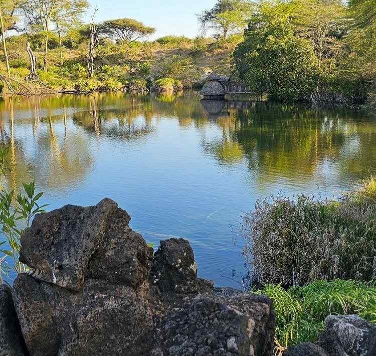 Mzima Springs