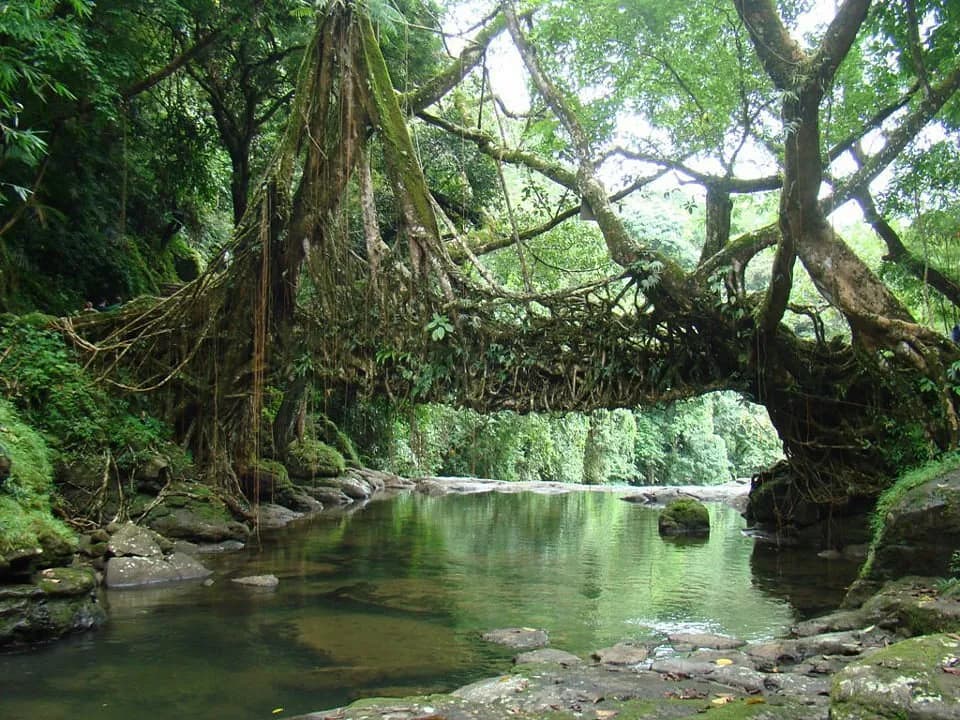 Meghalaya