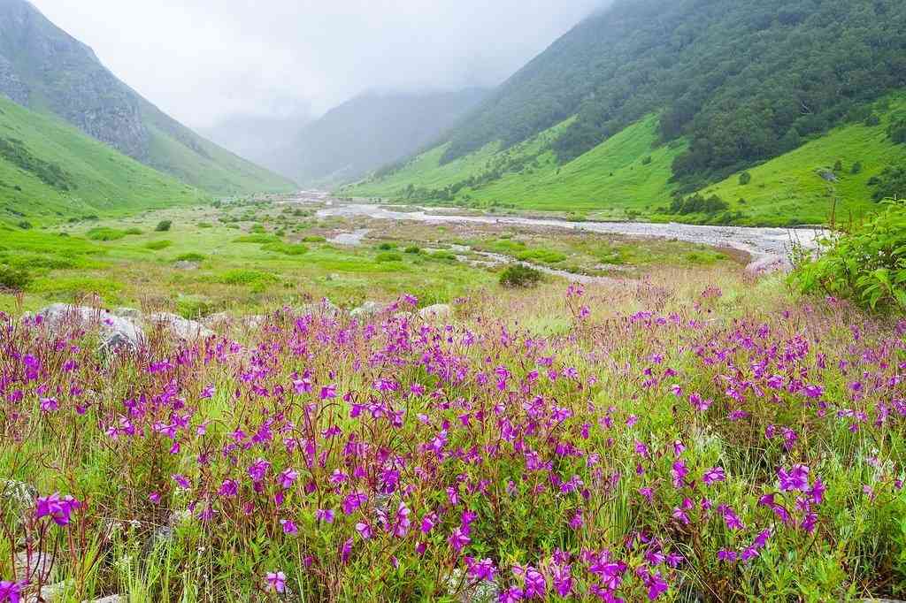 Sikkim